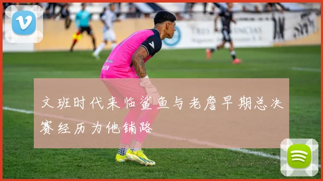 文班时代来临鲨鱼与老詹早期总决赛经历为他铺路