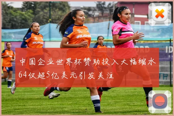 中国企业世界杯赞助投入大幅缩水64仅超5亿美元引发关注